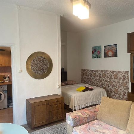 Frendlen Metsa Apartment Pärnu Kültér fotó